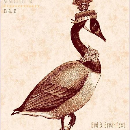 Madame Canard Baveno Exteriér fotografie